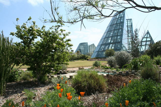 The Magik Theatre Is Heading To The San Antonio Botanical Garden